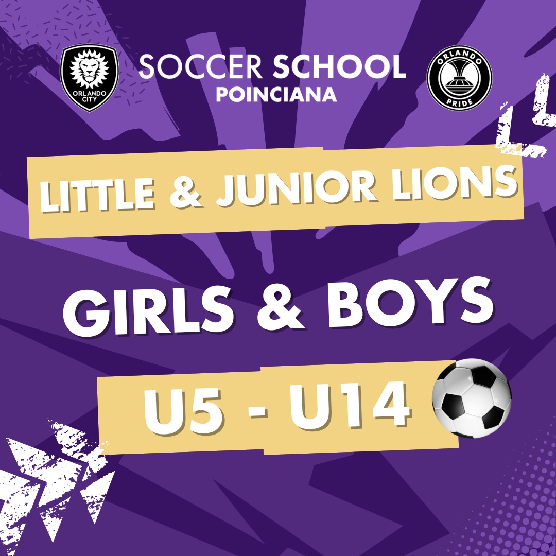 Little & Junior Lions
